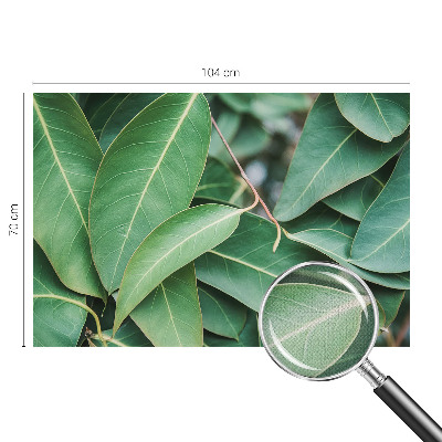 Fototapeta na ścianę Fototapeta na ścianę