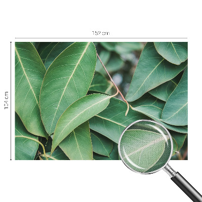 Fototapeta na ścianę Fototapeta na ścianę