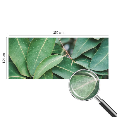 Fototapeta na ścianę Fototapeta na ścianę