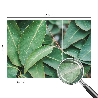 Fototapeta na ścianę Fototapeta na ścianę