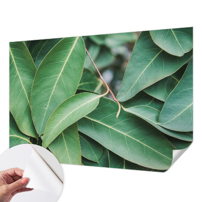 Fototapeta na ścianę Fototapeta na ścianę