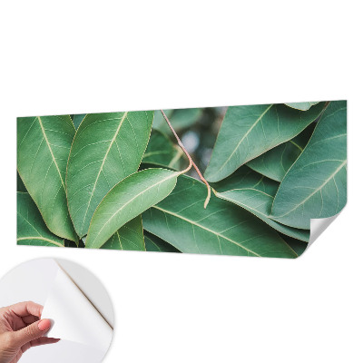 Fototapeta na ścianę Fototapeta na ścianę