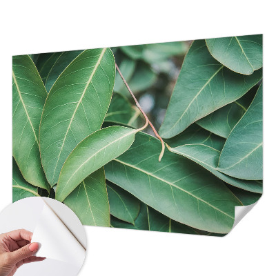 Fototapeta na ścianę Fototapeta na ścianę