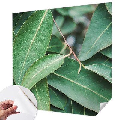 Fototapeta na ścianę Fototapeta na ścianę