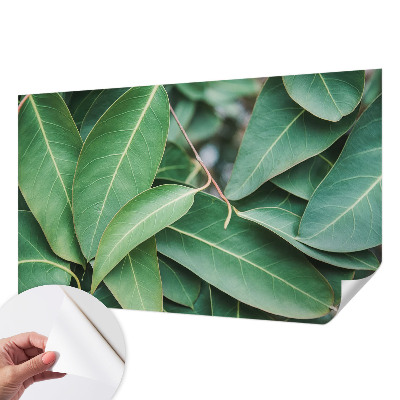 Fototapeta na ścianę Fototapeta na ścianę