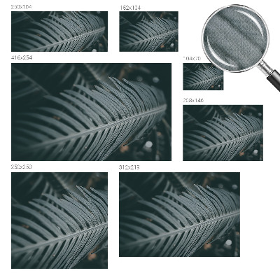 Dekoracyjna fototapeta na ścianę Dekoracyjna fototapeta na ścianę