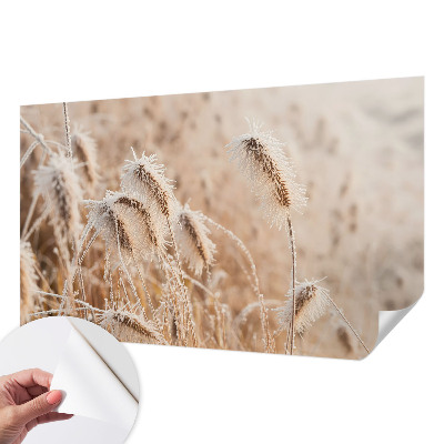 Fototapeta samoprzylepna do sypialni z motywem zimowego pejzażu