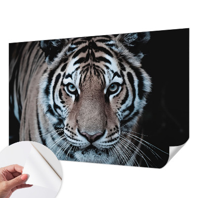 Tapeta fotograficzna Tygrysi portret