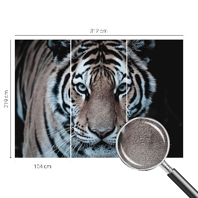 Tapeta fotograficzna Tapeta fotograficzna