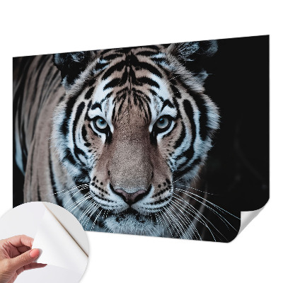 Tapeta fotograficzna Tapeta fotograficzna