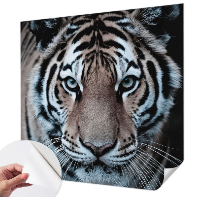 Tapeta fotograficzna Tapeta fotograficzna