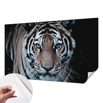 Tapeta fotograficzna Tapeta fotograficzna