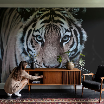 Tapeta fotograficzna Tapeta fotograficzna