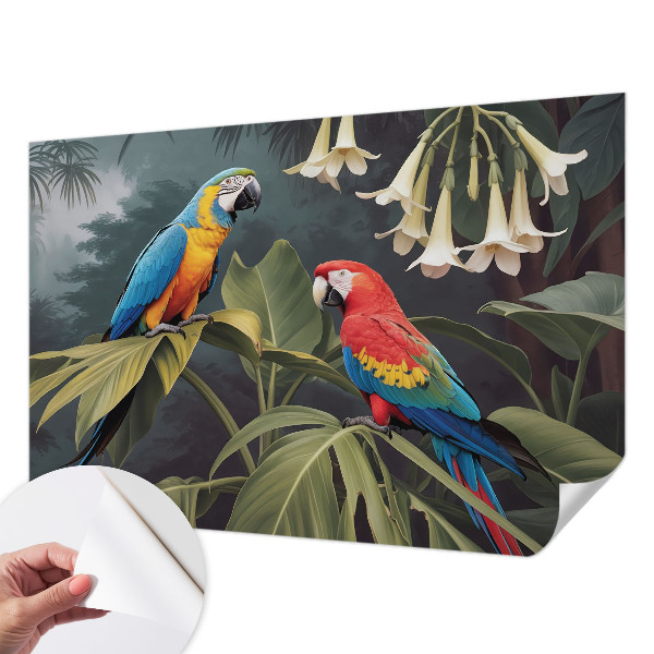 Dekoracyjna fototapeta na ścianę Dekoracyjna fototapeta na ścianę