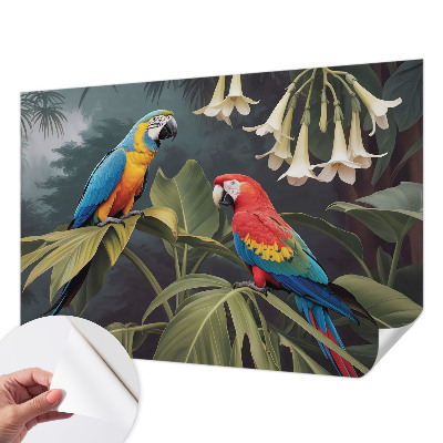 Dekoracyjna fototapeta na ścianę Dekoracyjna fototapeta na ścianę