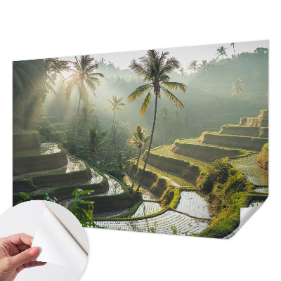 Fototapeta samoprzylepna z nadrukiem Rajskie tarasy