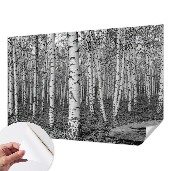 Tapeta fotograficzna z motywem brzozowego lasu