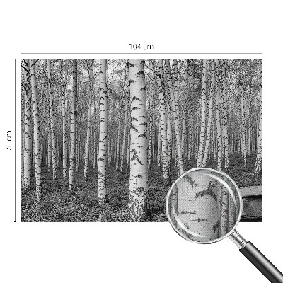Tapeta fotograficzna z motywem brzozowego lasu