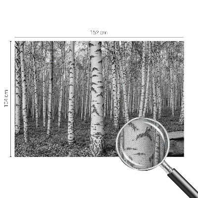 Tapeta fotograficzna z motywem brzozowego lasu