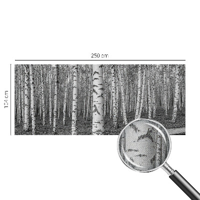 Tapeta fotograficzna z motywem brzozowego lasu