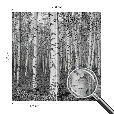 Tapeta fotograficzna z motywem brzozowego lasu