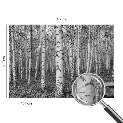 Tapeta fotograficzna z motywem brzozowego lasu