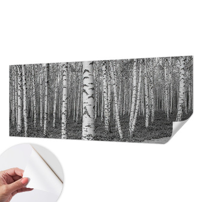 Tapeta fotograficzna z motywem brzozowego lasu