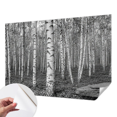 Tapeta fotograficzna z motywem brzozowego lasu
