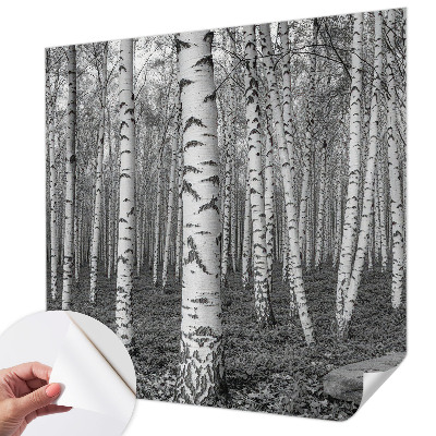 Tapeta fotograficzna z motywem brzozowego lasu