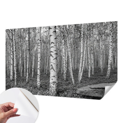 Tapeta fotograficzna z motywem brzozowego lasu