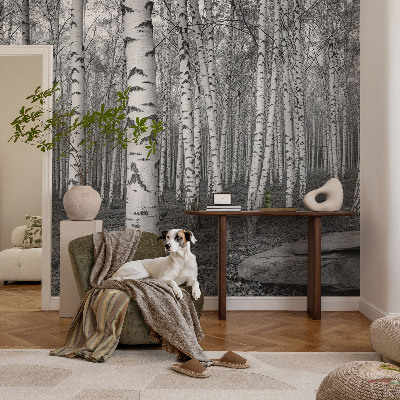 Tapeta fotograficzna z motywem brzozowego lasu
