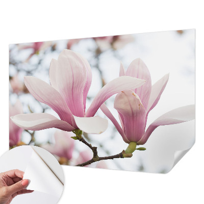 Fototapeta samoprzylepna do sypialni z motywem kwitnących magnolii