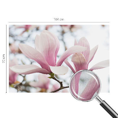 Fototapeta samoprzylepna do sypialni z motywem kwitnących magnolii