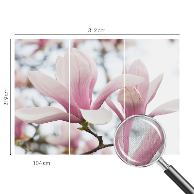 Fototapeta samoprzylepna do sypialni z motywem kwitnących magnolii