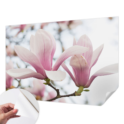 Fototapeta samoprzylepna do sypialni z motywem kwitnących magnolii
