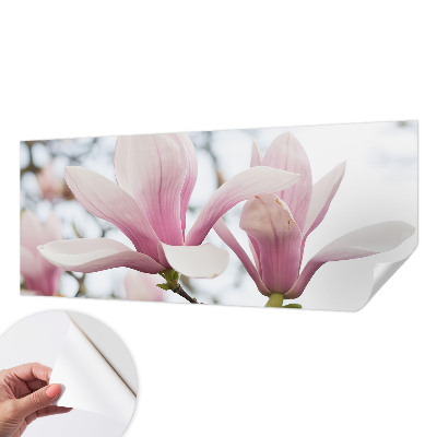 Fototapeta samoprzylepna do sypialni z motywem kwitnących magnolii