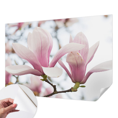 Fototapeta samoprzylepna do sypialni z motywem kwitnących magnolii