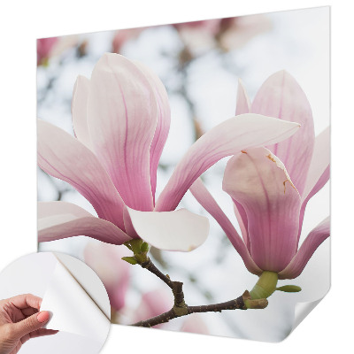 Fototapeta samoprzylepna do sypialni z motywem kwitnących magnolii