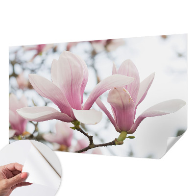 Fototapeta samoprzylepna do sypialni z motywem kwitnących magnolii