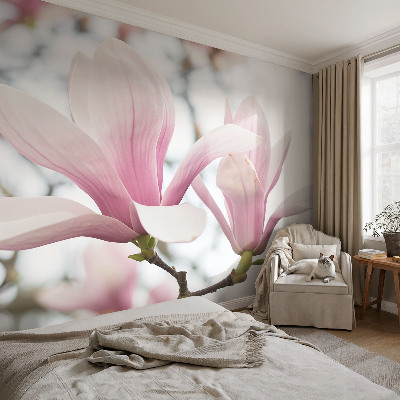 Fototapeta samoprzylepna do sypialni z motywem kwitnących magnolii