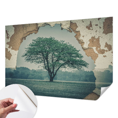 Dekoracyjna fototapeta na ścianę z motywem samotnego drzewa