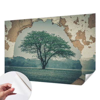 Dekoracyjna fototapeta na ścianę Dekoracyjna fototapeta na ścianę