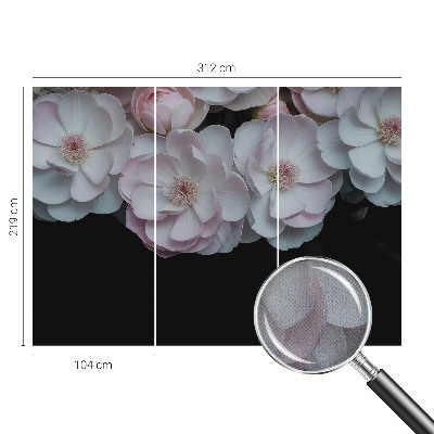 Dekoracyjna fototapeta na ścianę Dekoracyjna fototapeta na ścianę