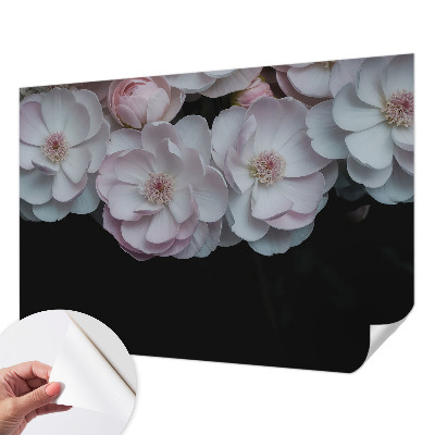 Dekoracyjna fototapeta na ścianę Dekoracyjna fototapeta na ścianę