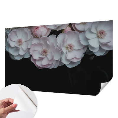 Dekoracyjna fototapeta na ścianę Dekoracyjna fototapeta na ścianę