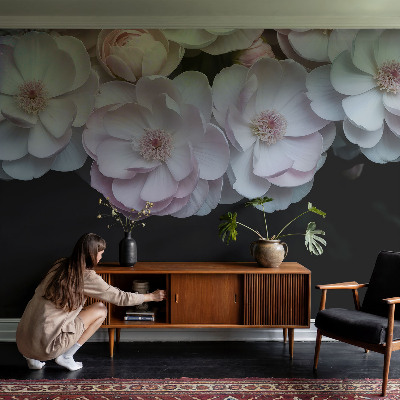 Dekoracyjna fototapeta na ścianę Dekoracyjna fototapeta na ścianę