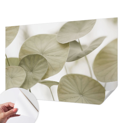 Tapeta fotograficzna o naturalnej elegancji