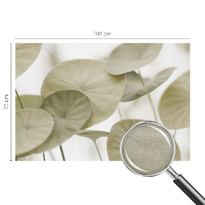 Tapeta fotograficzna o naturalnej elegancji