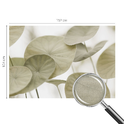 Tapeta fotograficzna o naturalnej elegancji