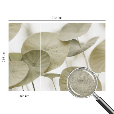 Tapeta fotograficzna o naturalnej elegancji